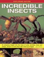 Exploring Nature: Incredible Insects: An Amazing Insight Into The Lives Of Ants, Termites, Bees And Wasps, Shown In More Than 220