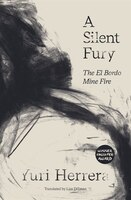 A  Silent Fury: The El Bordo Mine Fire
