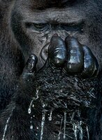 Graphis Photography Annual 2018