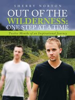 Out Of The Wilderness: One Step at a Time: Twelve Months of an Inspirational Journey