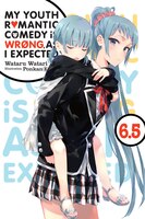 My Youth Romantic Comedy Is Wrong, As I Expected, Vol. 6.5 (light Novel)
