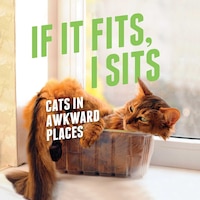 If It Fits, I Sits: Cats in Awkward Places