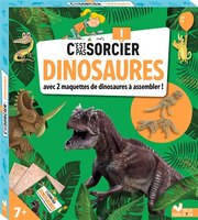 C'est pas sorcier dinosaures + maquettes