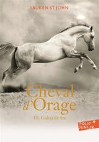 CHEVAL D'ORAGE TOME 3 : GALOP DE FEU