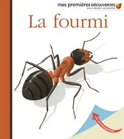 La fourmi Mes premières découvertes