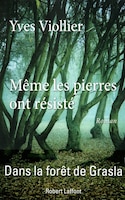 Meme Les Pierres Ont Resiste