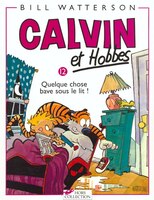012-QUELQUE CHOSE BAVE..LIT