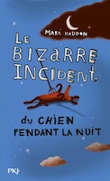 BIZARRE INCIDENT DU CHIEN PENDANT LA  NUIT