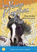 les poneys magiques t.3 ; des toiles plein les yeux