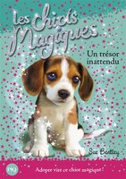 Les chiots magiques tome 14 un trésor inattendu #14