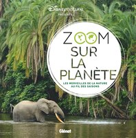 ZOOM SUR LA PLANETE