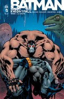 Batman Knightfall 01 : La chute