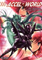 Accel World, t. 07
