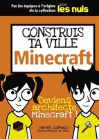 Je construis ma ville Minecraft pour les nuls