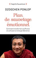 PLAN DE SAUVETAGE ÉMOTIONNEL
