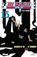 Bleach 15