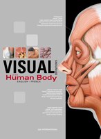 Visuel du corps humain Le