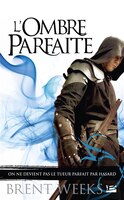 L'Ombre parfaite