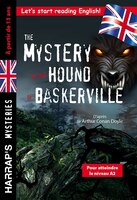 Mystery of the hound of baskerville -the