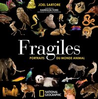 Fragiles Portraits du monde animal