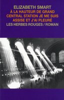 A Hauteur De Grand Central Station