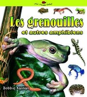 Les Grenouilles Et Autres Amphibiens