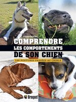 Comprendre les comportements de son chien