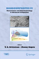 Nanocomposites Vi: Nanoscience And Nanotechnology In Advanced Composites