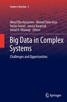 Big Data In Complex Systems: Challenges And Opportunities
