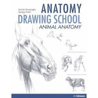 Anatomy Drawing School: Animal Anatomy: Animal Anatomy