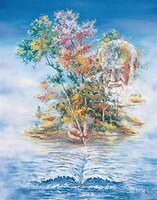 Pqt de 6 Ecrivain de l'île