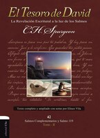 El Tesoro De David  Ii: La Revelación Escritural A La Luz De Los Salmos
