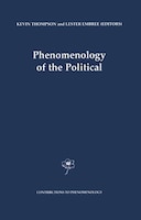 Phenomenology of the Political