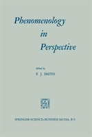 Phenomenology in Perspective