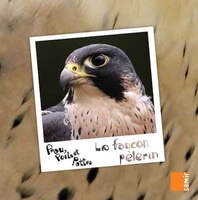 Faucon pèlerin (Le)