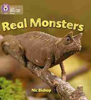 Real Monsters: Band 03/yellow (collins Big Cat Phonics) by Nic Bishop
