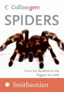 Spiders by Paul Hillyard