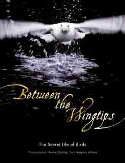 Between the Wingtips: The Secret Life of Birds by Brutus Ostling