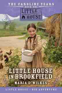 Little House in Brookfield by Maria D Wilkes