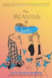 The Meaning Of Birds by Jaye Robin Brown