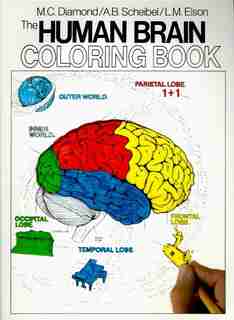 The Human Brain Coloring Book by Marian C. Diamond