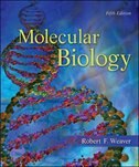Molecular Biology