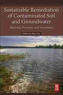 Sustainable Remediation Of Contaminated Soil And Groundwater: Materials, Processes, And Assessment by Deyi Hou