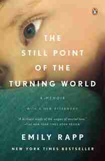 The Still Point Of The Turning World by Emily Rapp Black