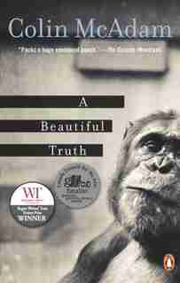 A Beautiful Truth by Colin Mcadam