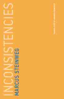 Inconsistencies by Marcus Steinweg