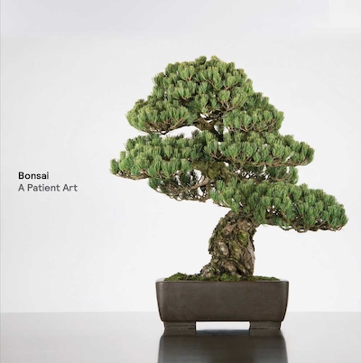 Bonsai A Patient Art Book By Susumu Nakamura Hardcover