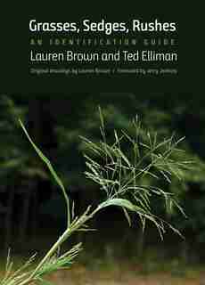 Grasses, Sedges, Rushes: An Identification Guide by Lauren Brown