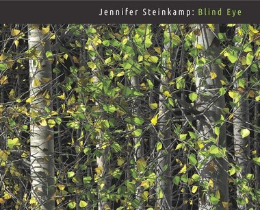 Jennifer Steinkamp: Blind Eye by Lisa Clark Art Institute