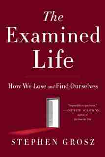 The Examined Life: How We Lose And Find Ourselves by Stephen Grosz